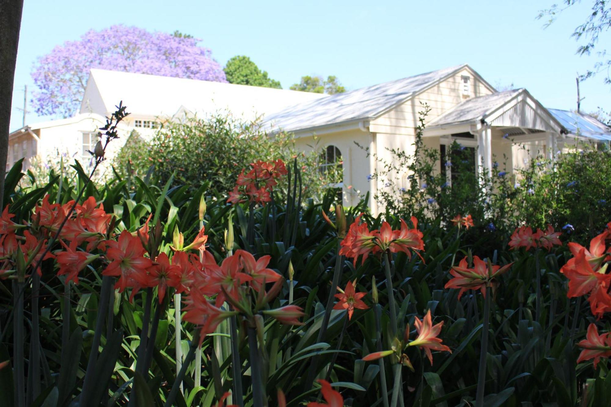 Wintergreen Manor At Maleny Exterior photo
